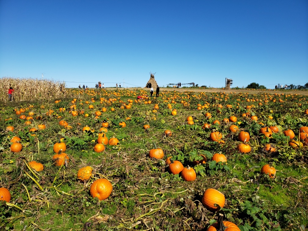 Y Worry Farm Davidsonville