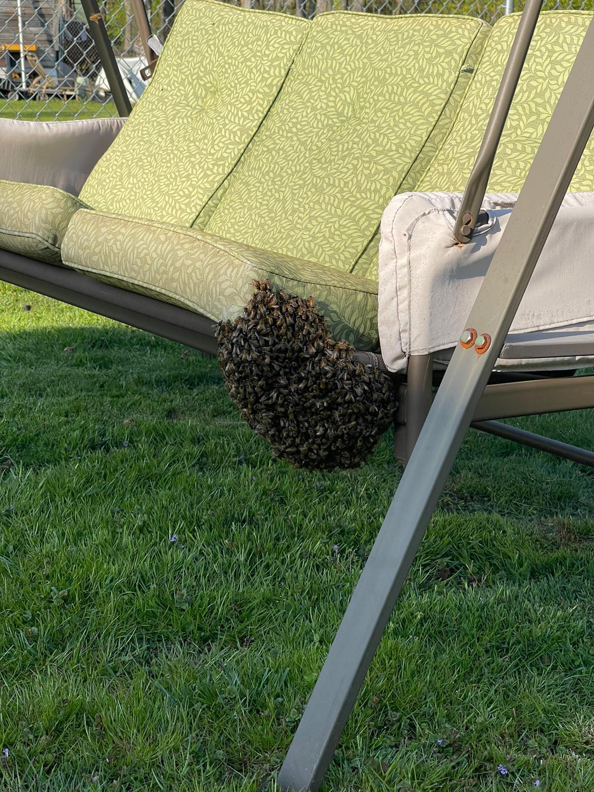 Photo credit: nextdoor