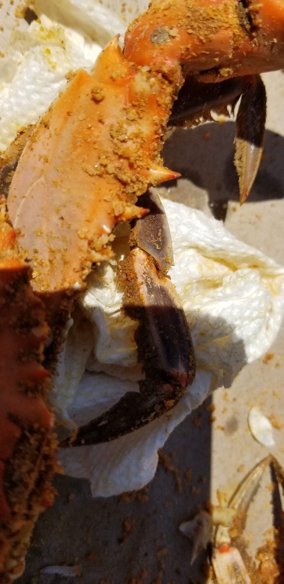 Marshall's Seafood Menu