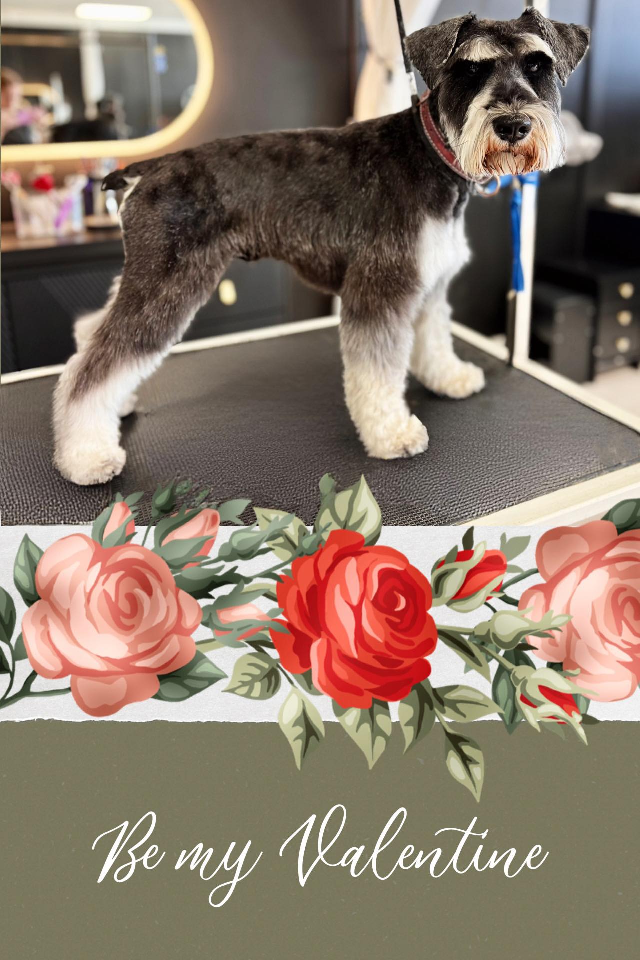 Paw Prints Grooming Spa LLC Easton