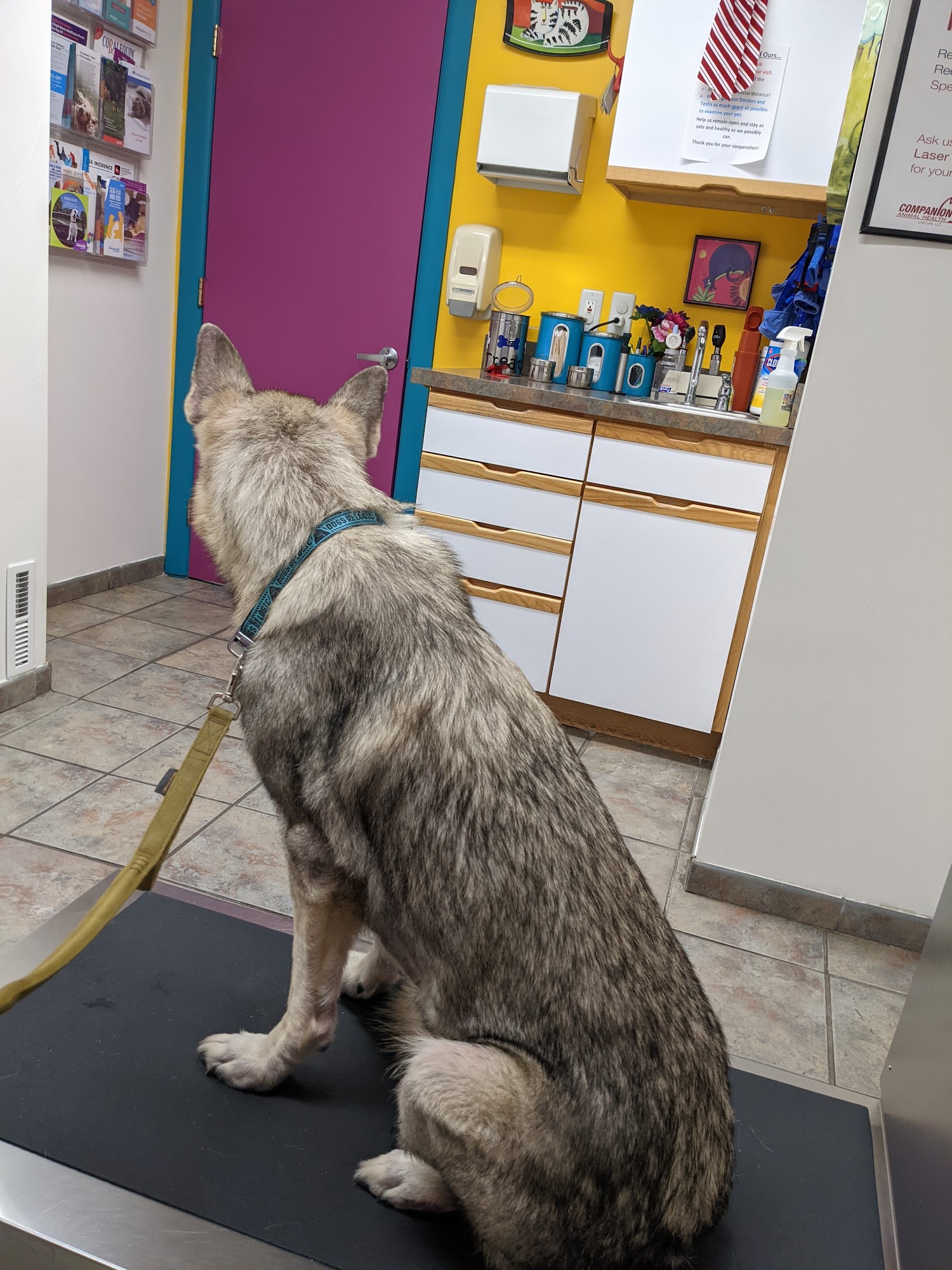 Carrolltown Veterinary Hospital Eldersburg