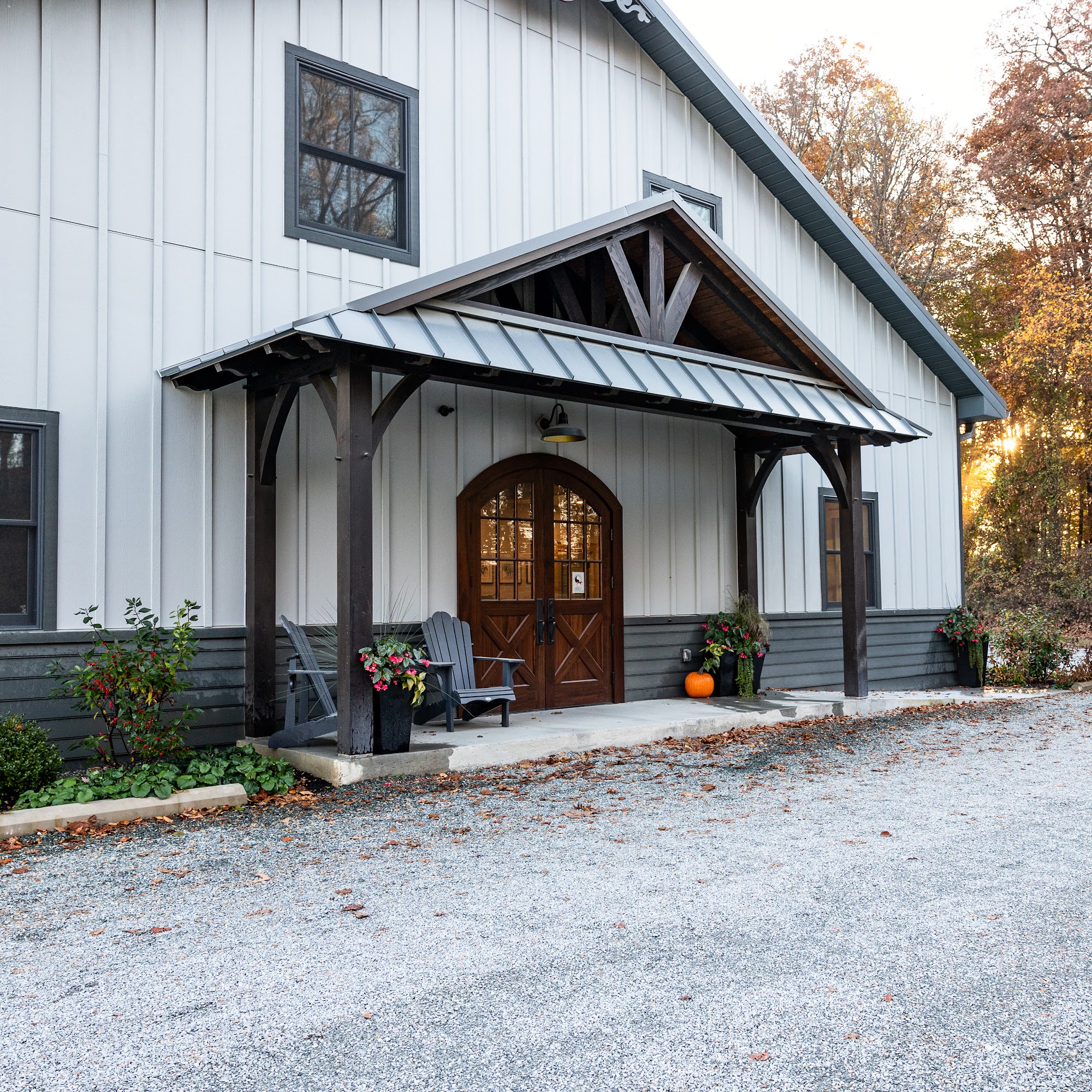 Equine Veterinary Care Elkton