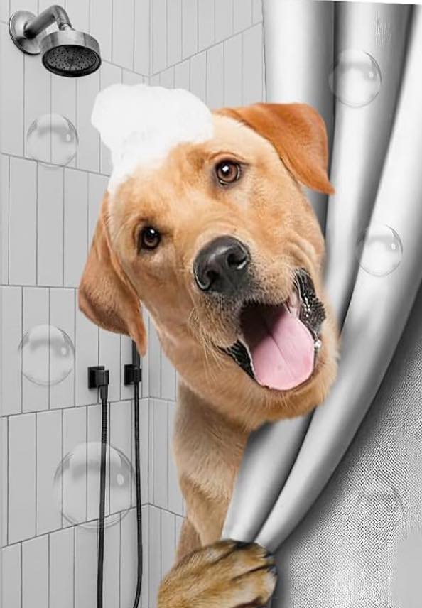 Pet Styles of Elkton Elkton