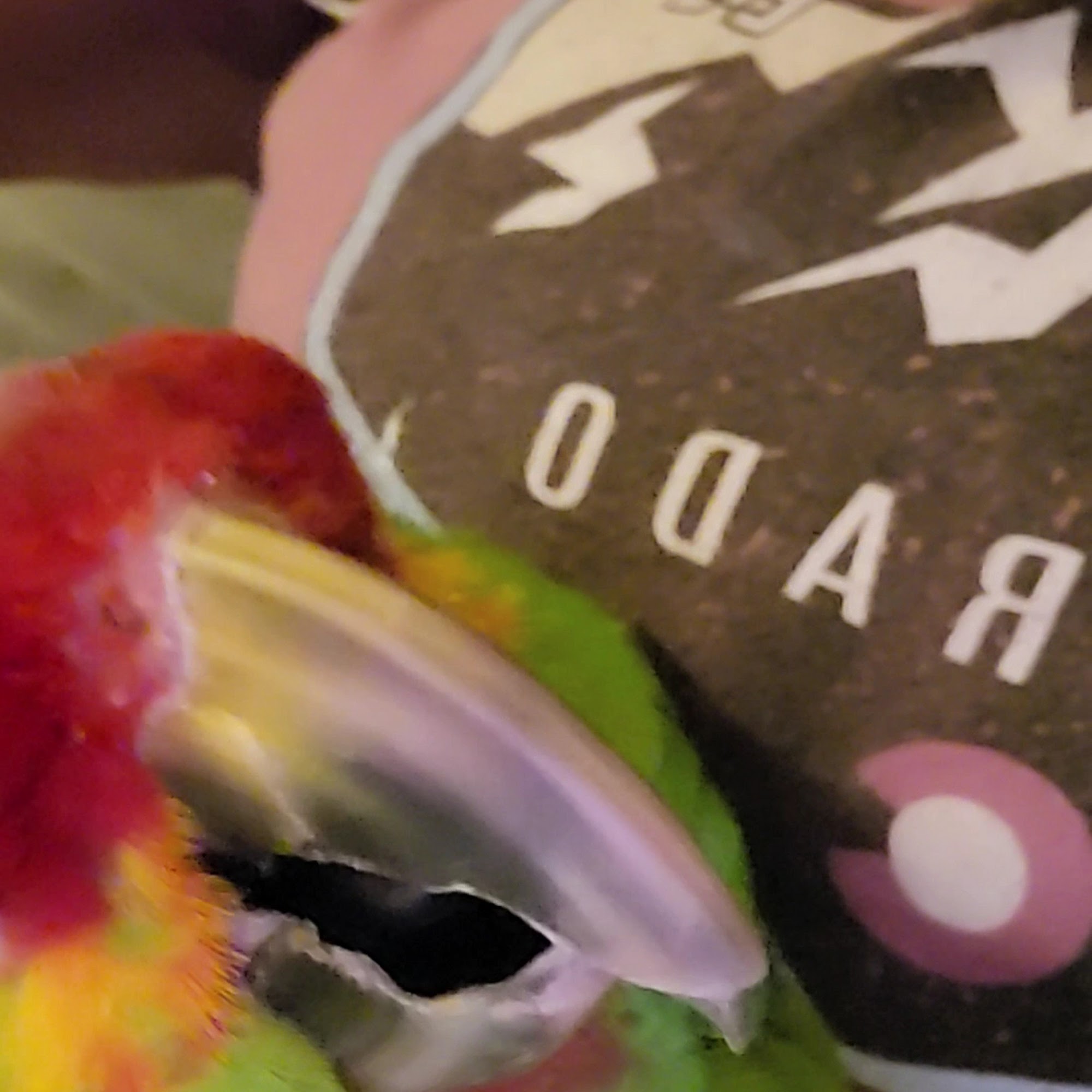 Emergency Animal Hospital of Ellicott City Ellicott City