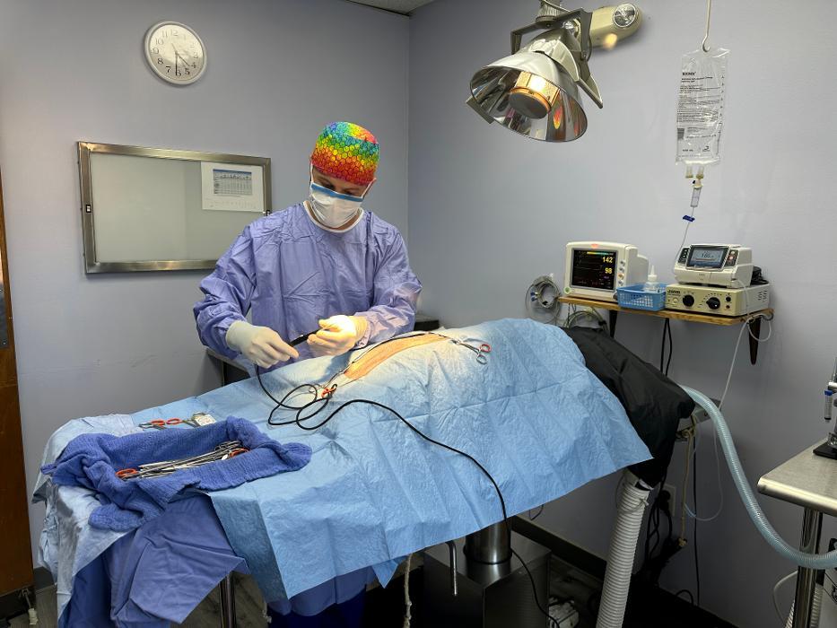 Howard County Animal Hospital Ellicott City