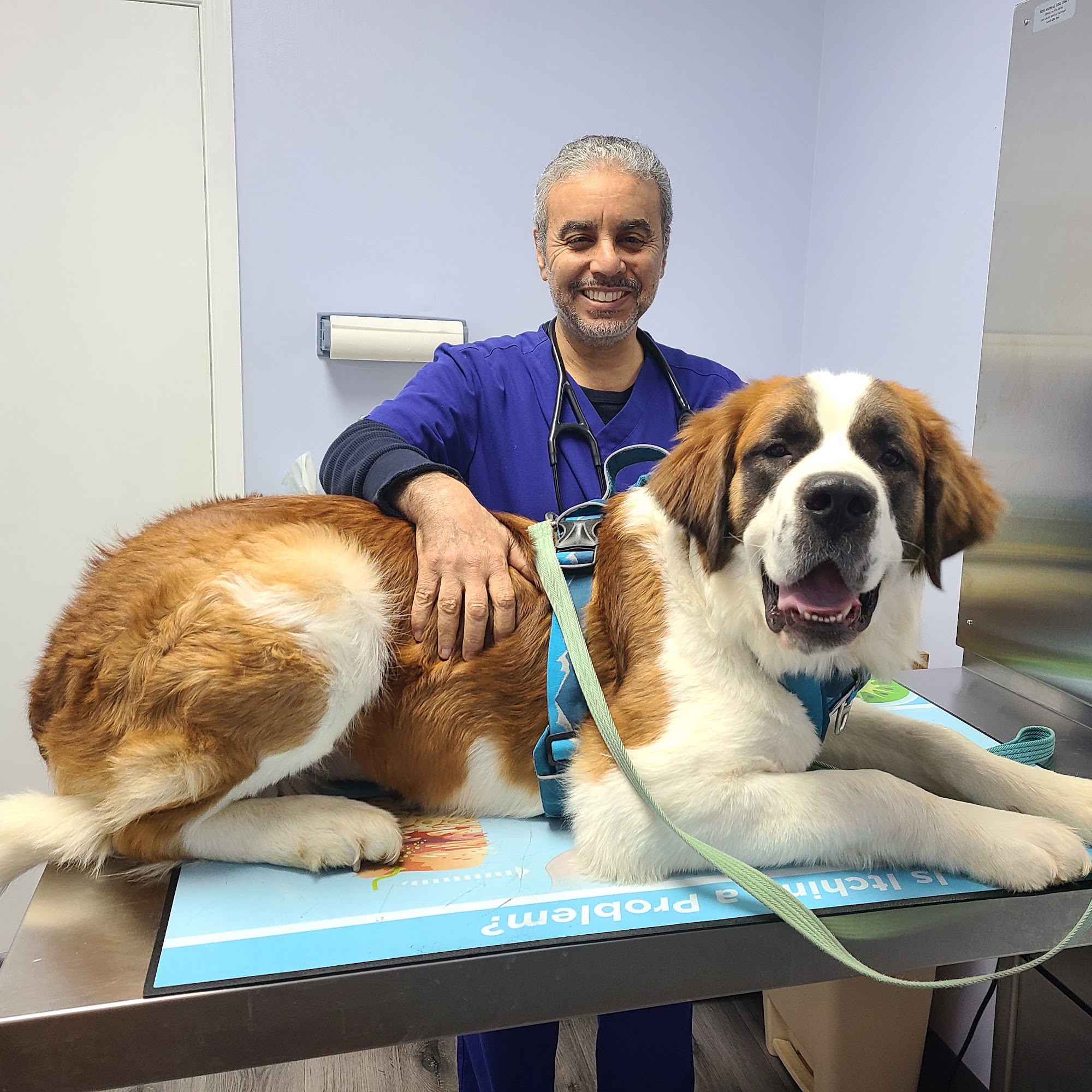Howard County Animal Hospital Ellicott City