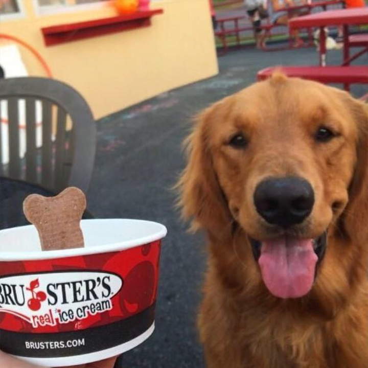 Bruster's Real Ice Cream Ellicott City