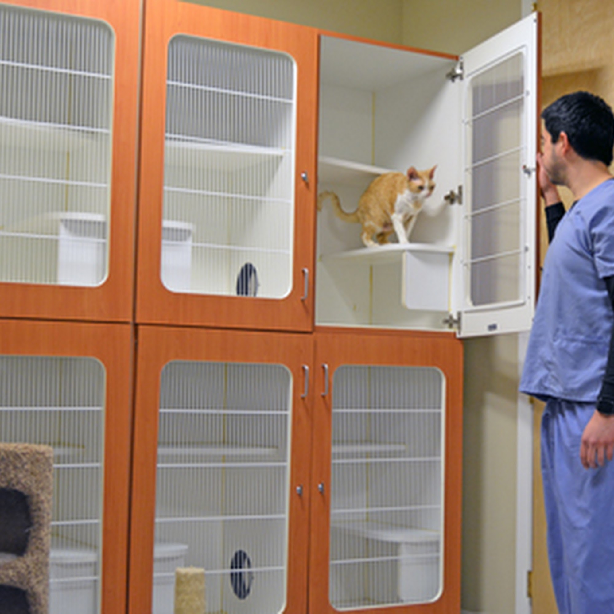 Essex Middle River Veterinary Center Essex