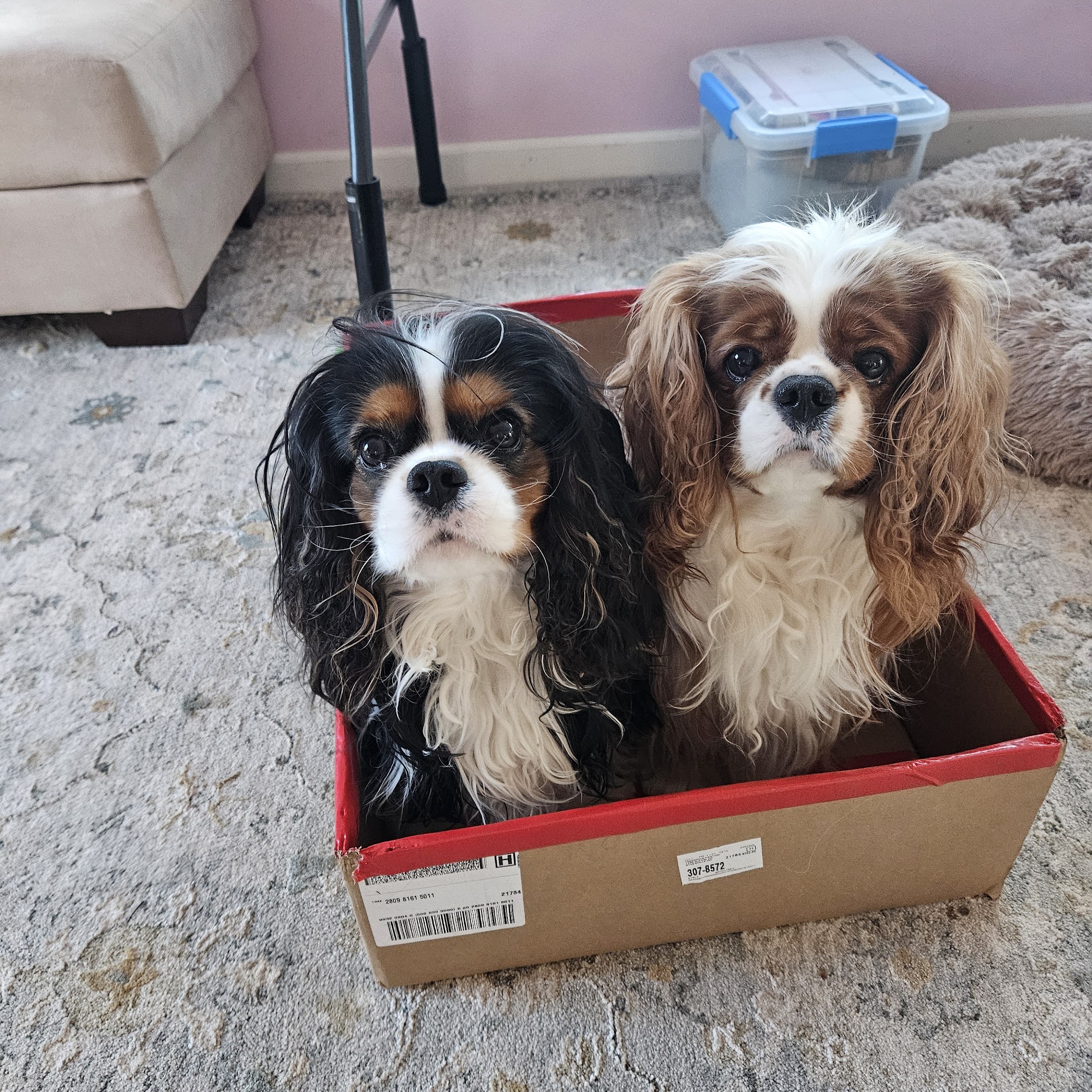 Route 140 Veterinary Hospital, Inc. Finksburg