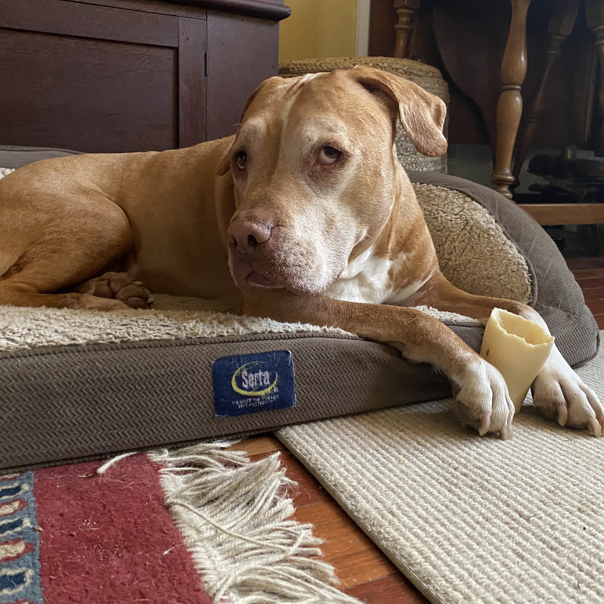 Finksburg Veterinary Center (Mobile/House calls) Finksburg