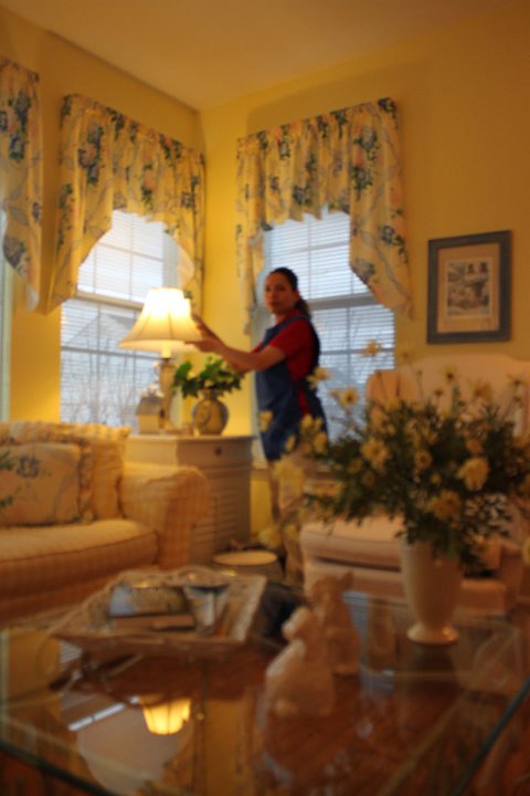anitas cleaning services