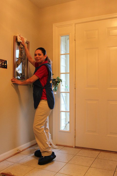anitas cleaning services