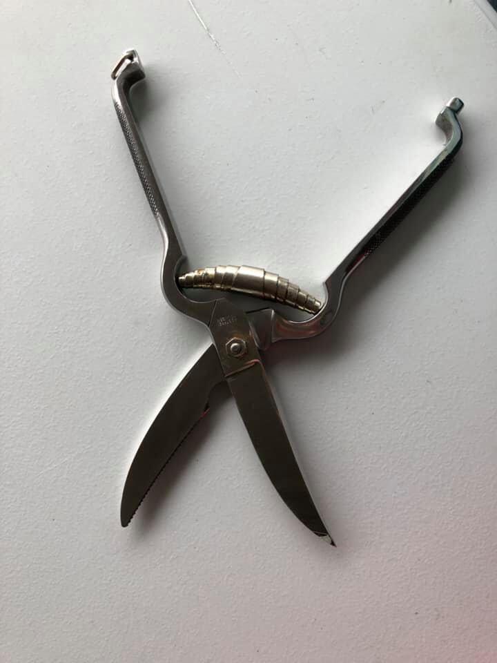 Photo credit: nextdoor