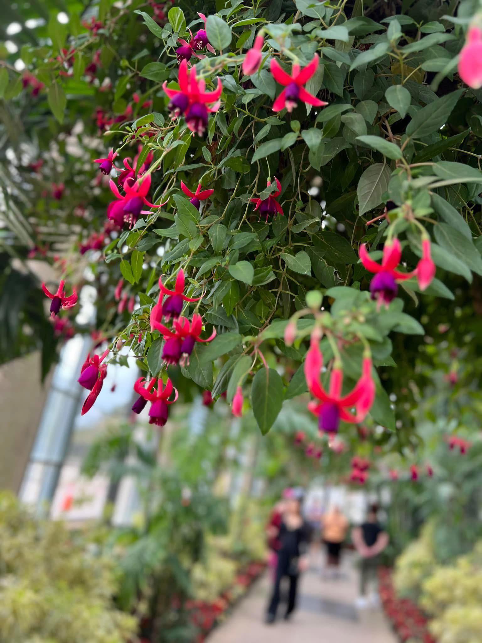 Mauve and Maple Hair Salon 4969 Westview Dr Suite 19, Frederick Maryland 21704