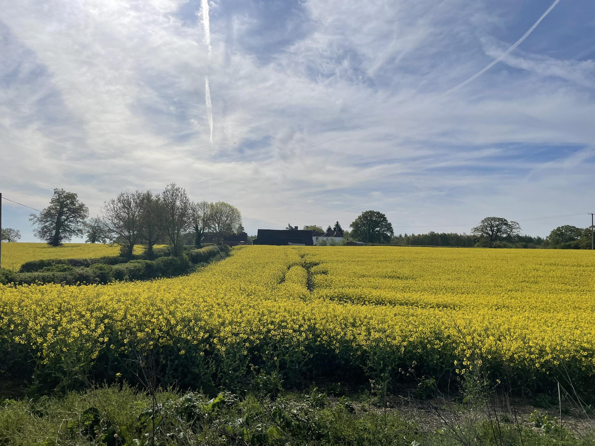 Windridge Farm LLC Frederick