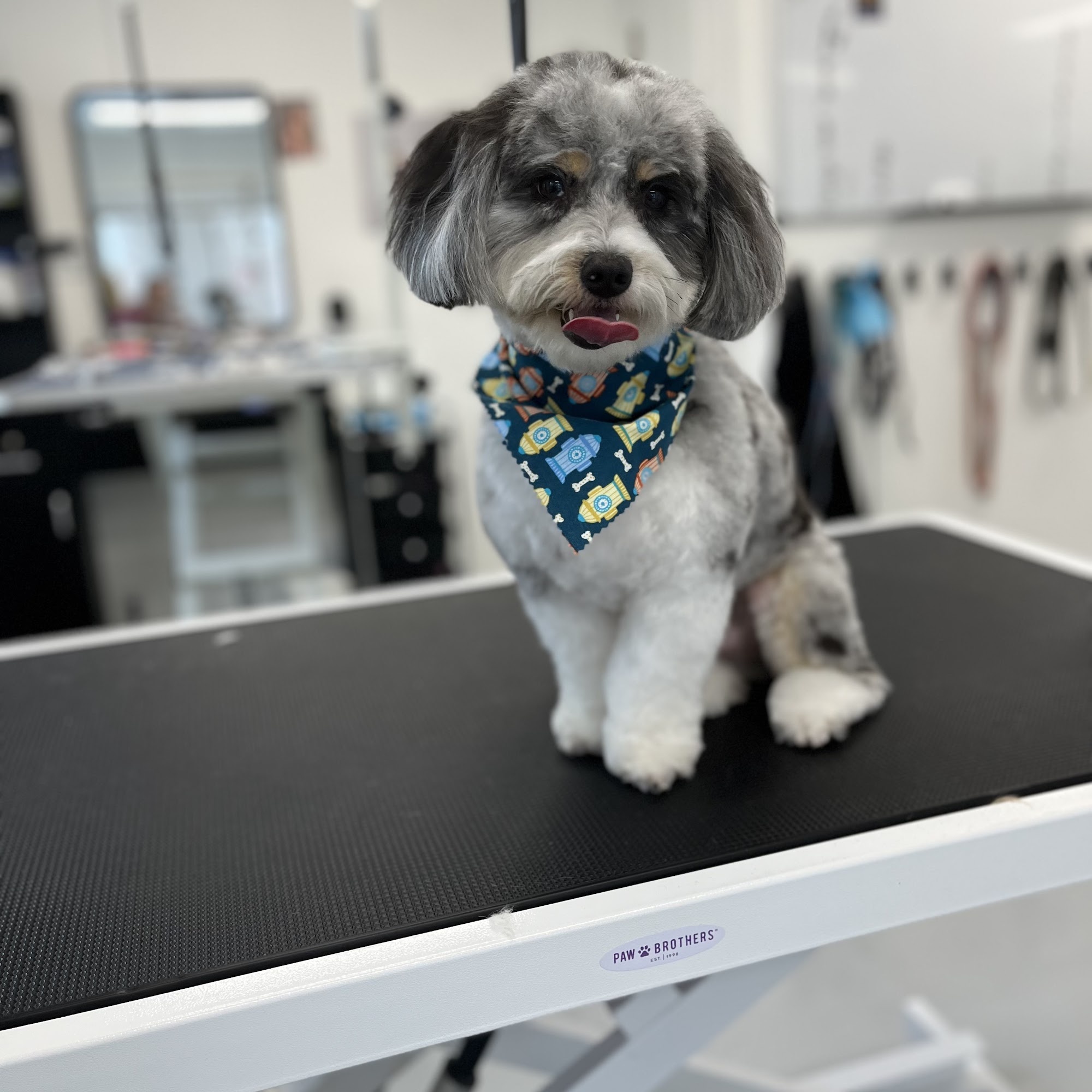 Barks & Bubbles Fulton