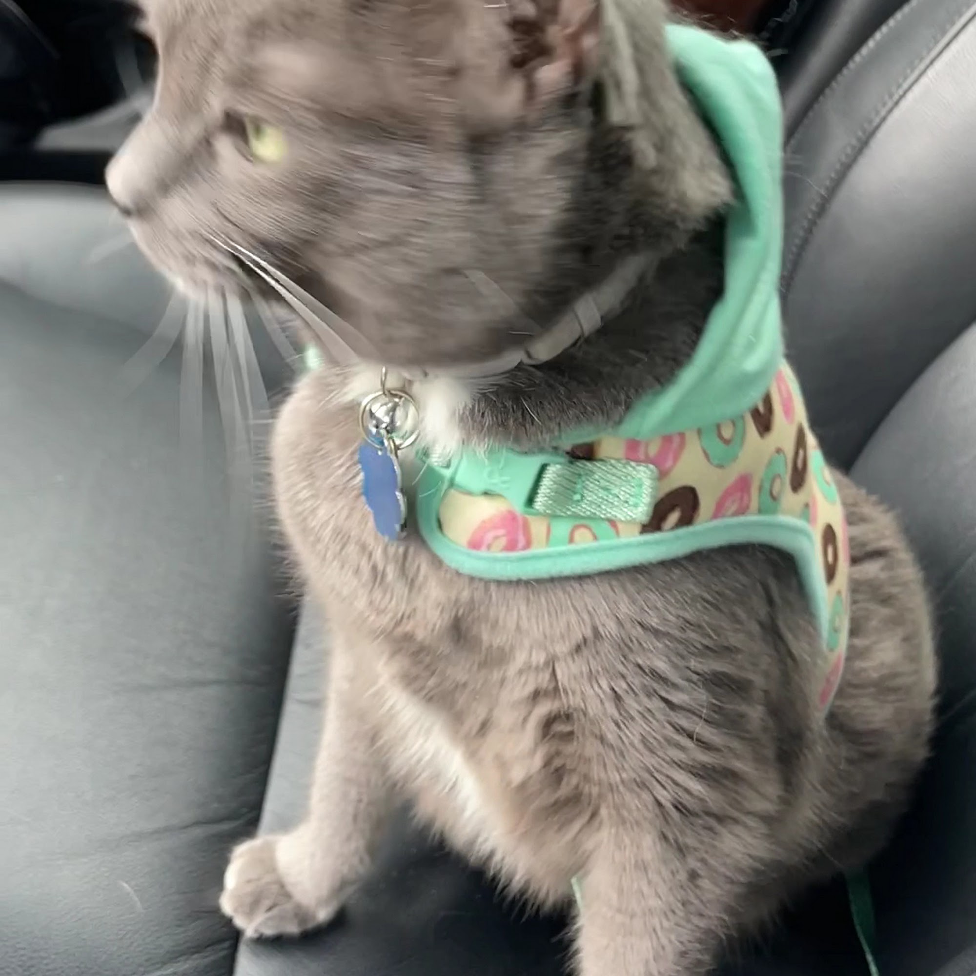 Goshen Animal Clinic Gaithersburg