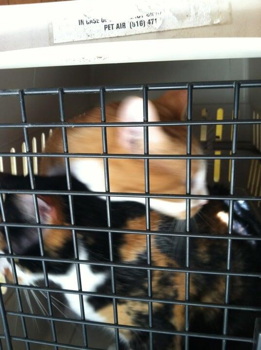 Lake Forest Animal Hospital Gaithersburg