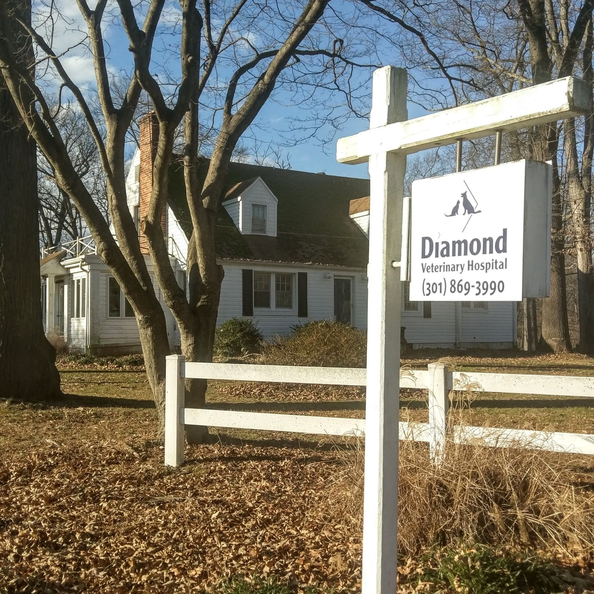 Diamond Veterinary Hospital Gaithersburg