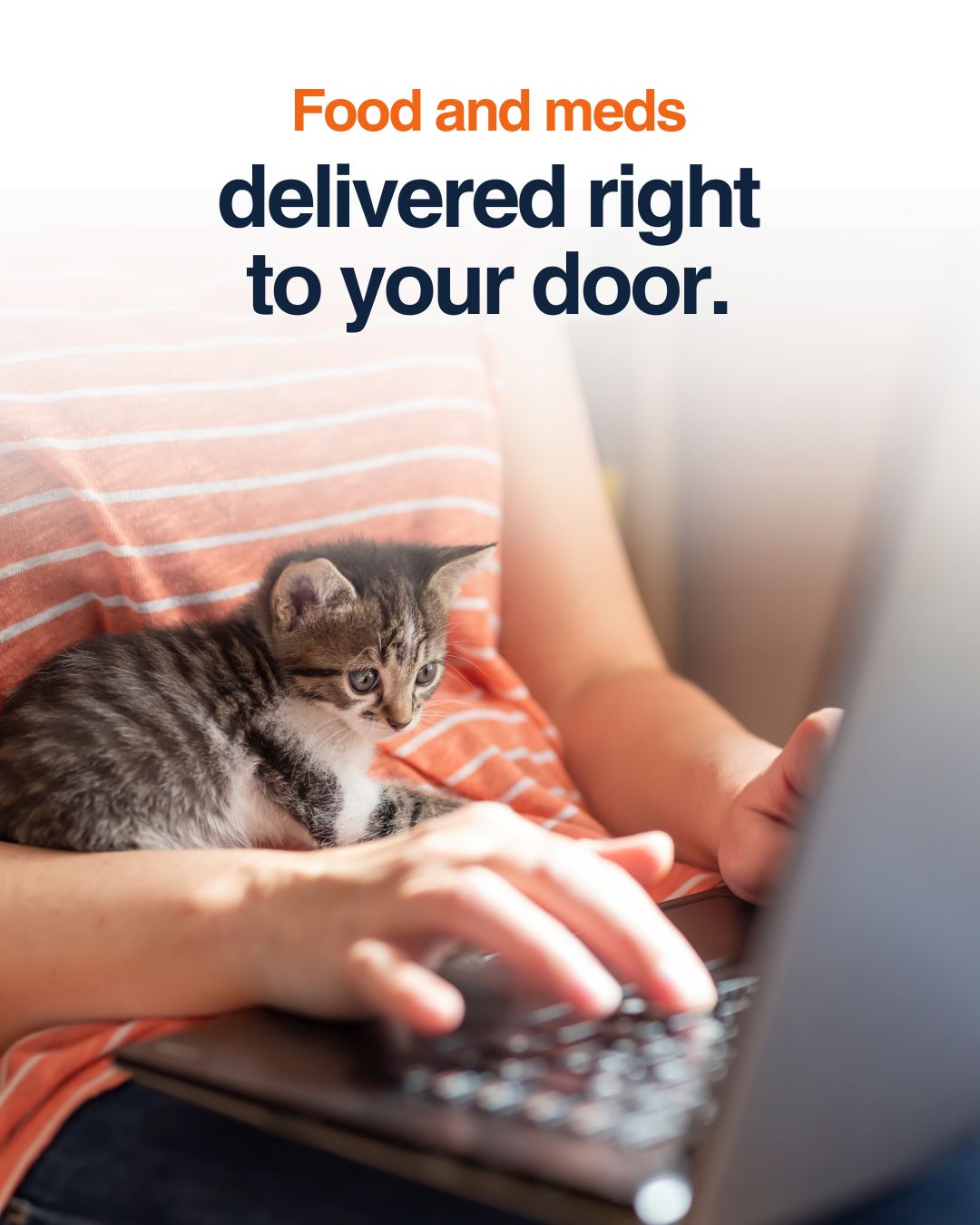 CVCA Cardiac Care For Pets Gaithersburg