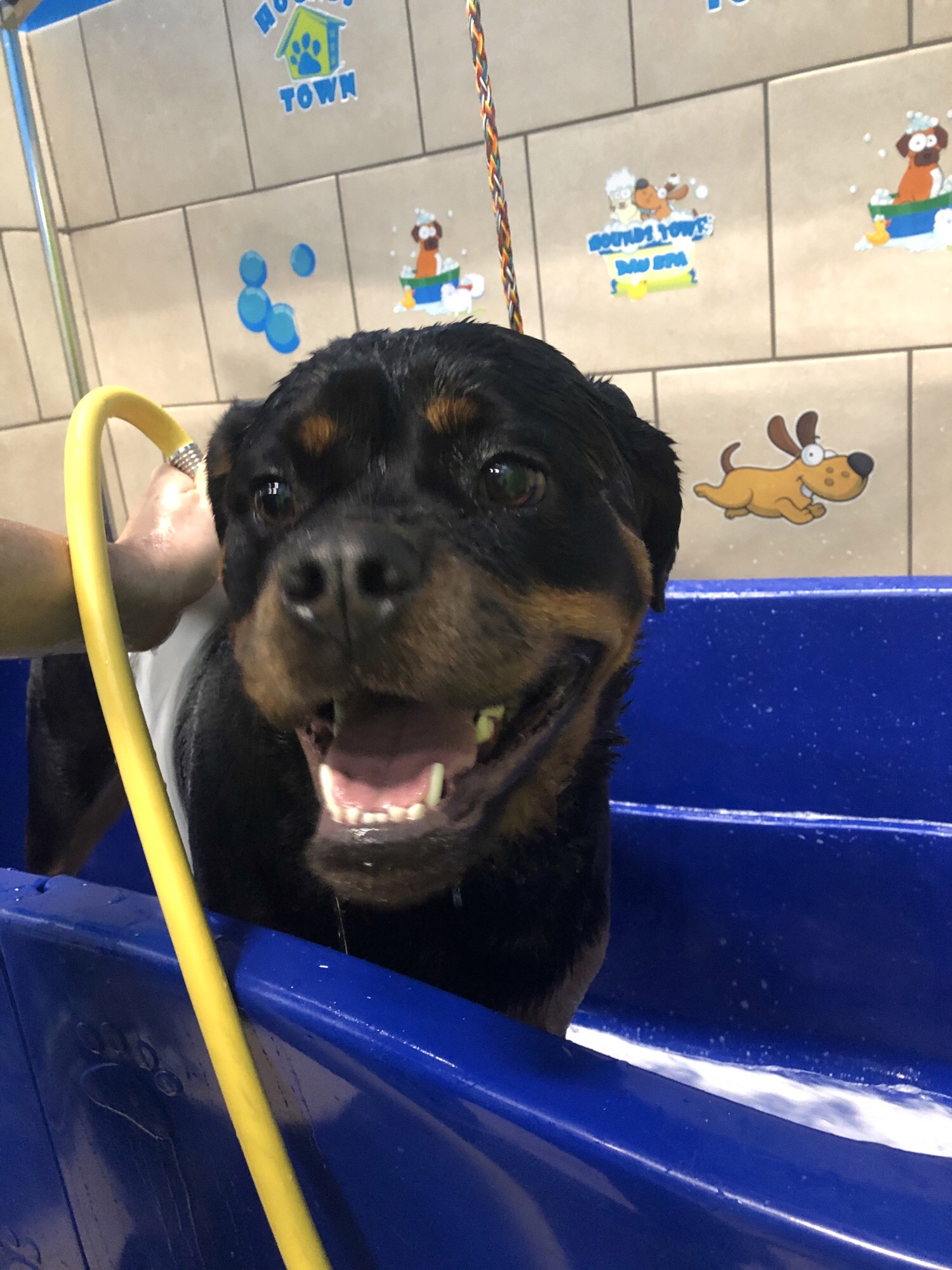 Hounds Town Gaithersburg Gaithersburg