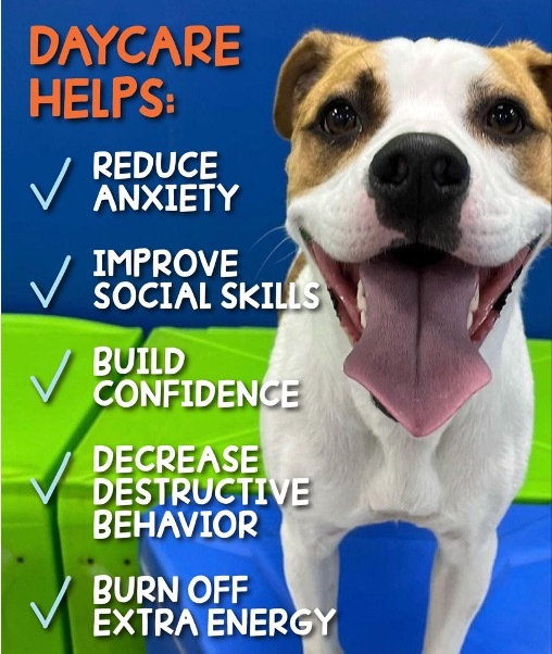 Hounds Town Gaithersburg Gaithersburg