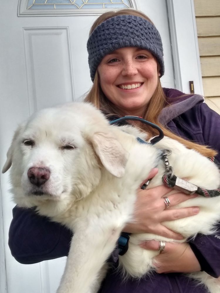 Wagnificent Pet Care, LLC Gaithersburg