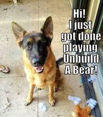 Prime Care Animal Hospital Gambrills