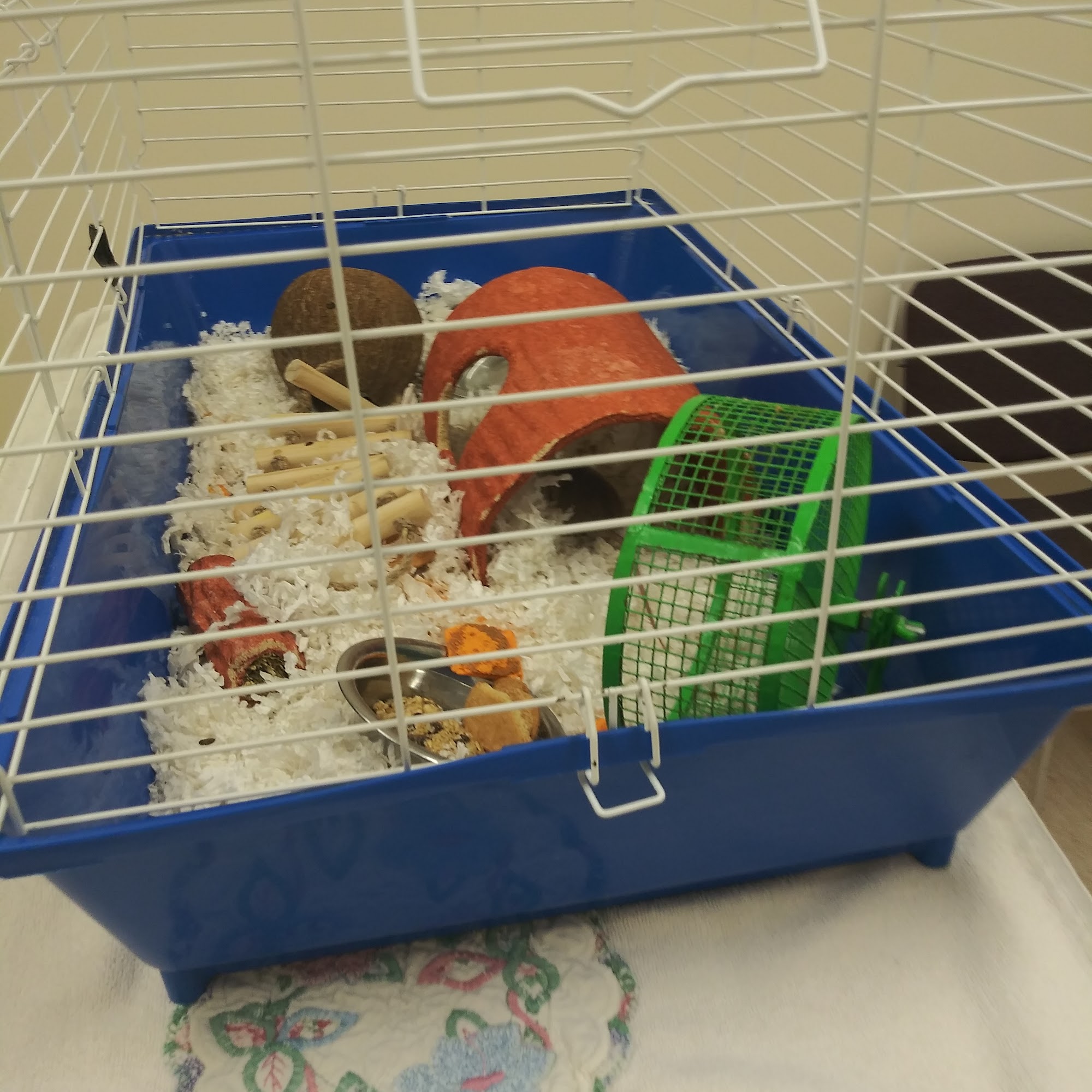 Alpha Veterinary Center Glen Burnie