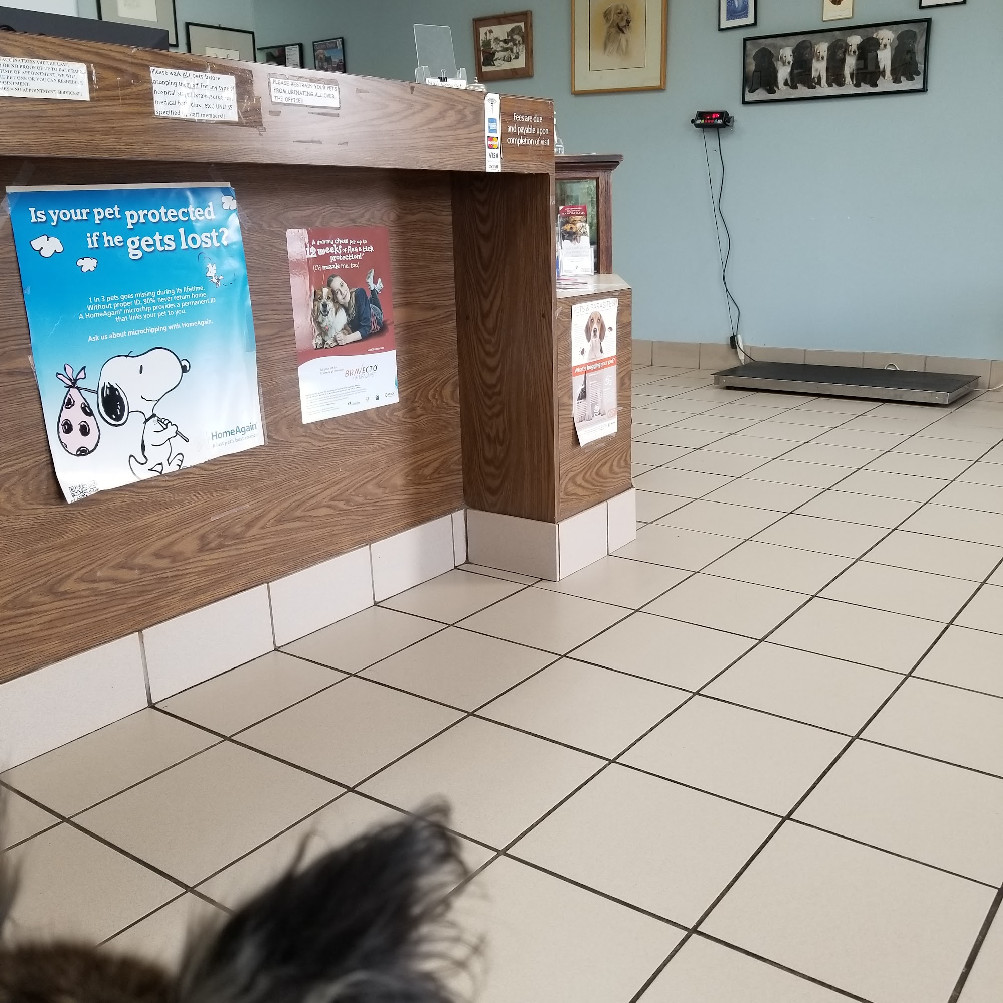 Glenn Dale Veterinary Clinic Glenn Dale