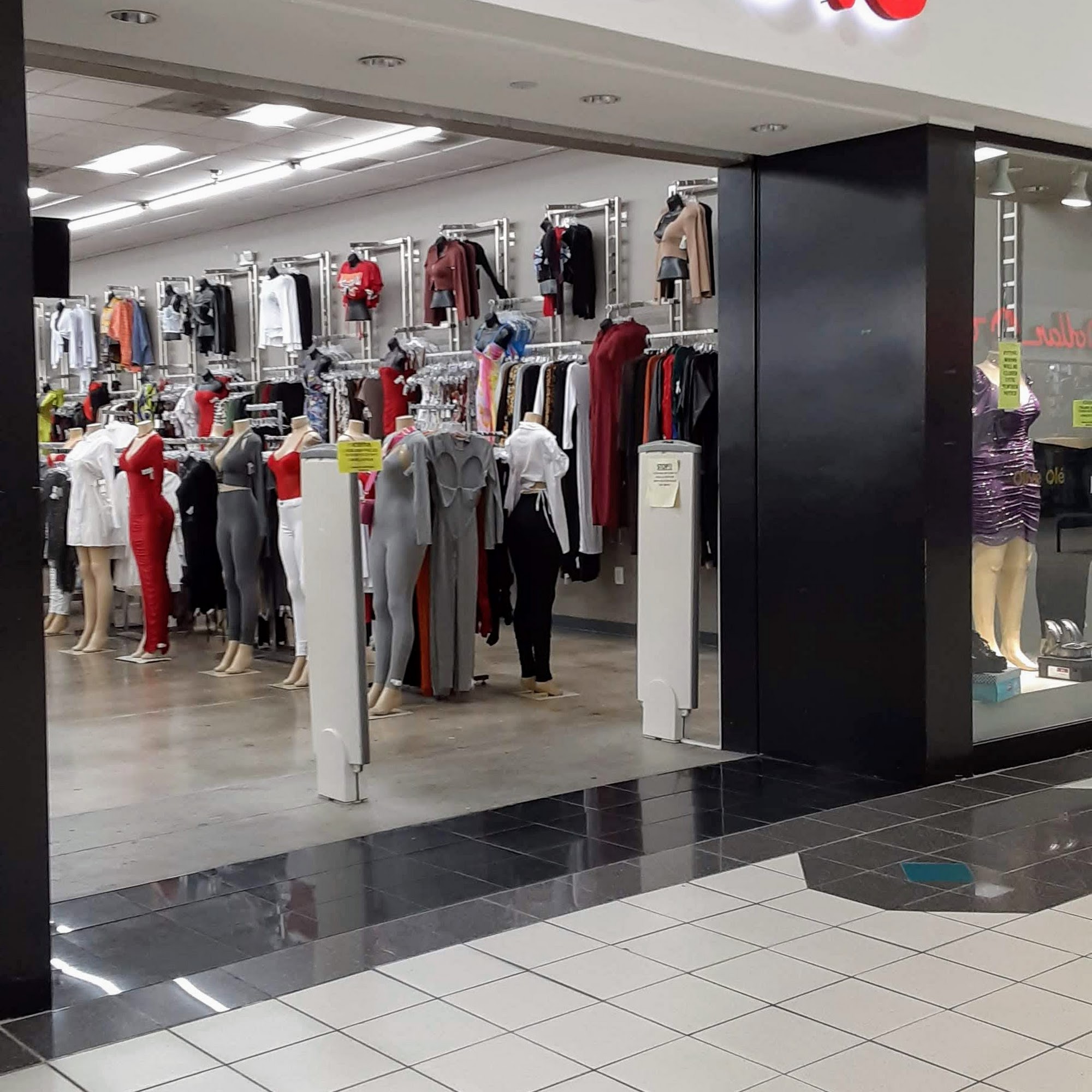 Olive Olé Greenbelt