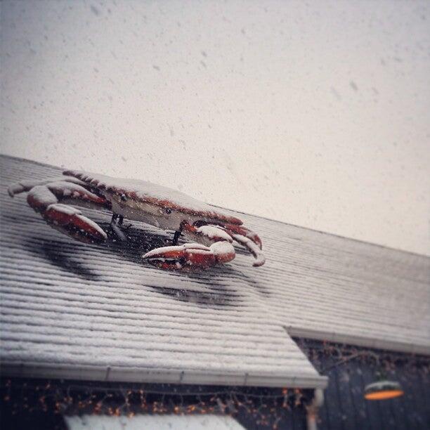 Photo credit: nextdoor