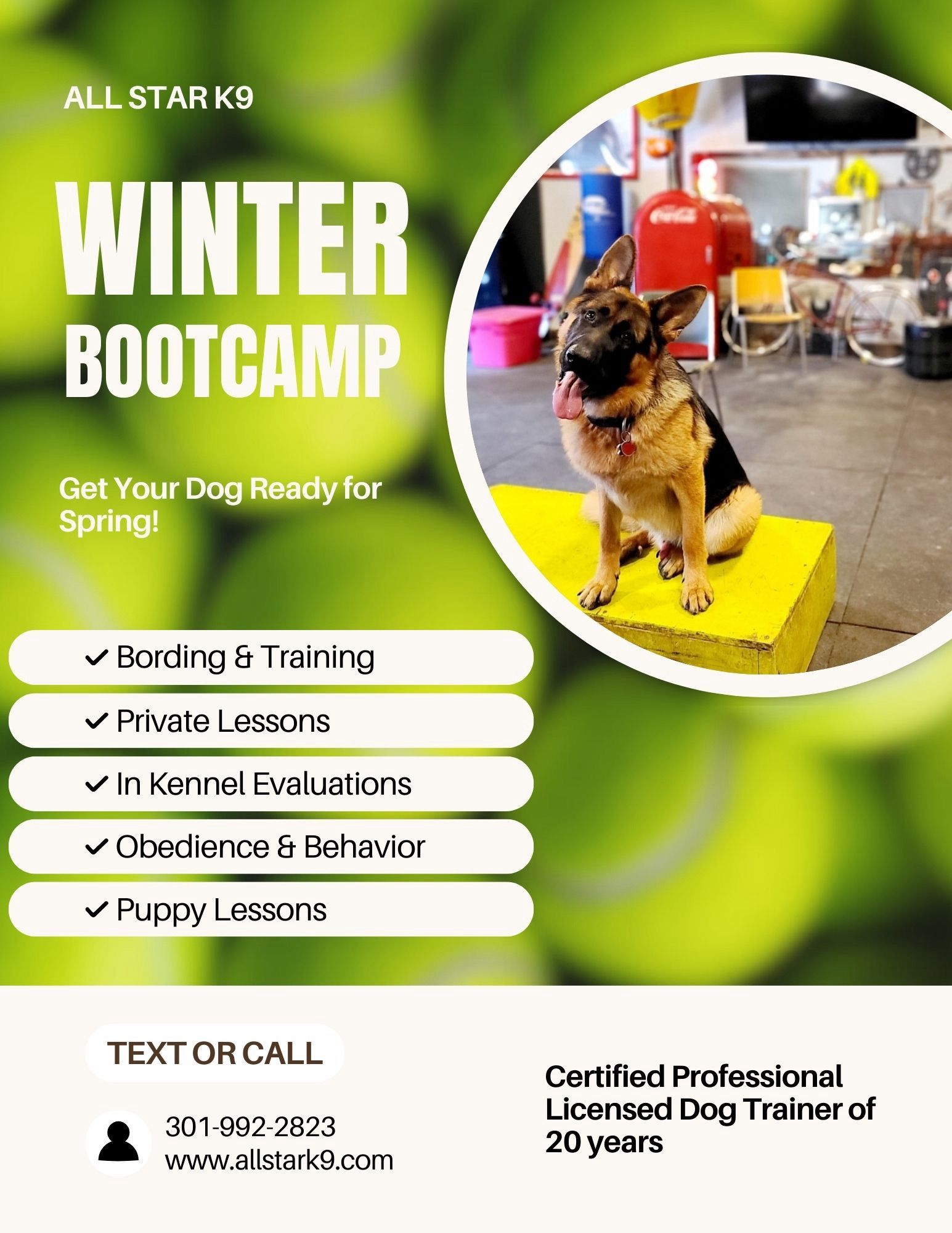 All Star K9 Hagerstown