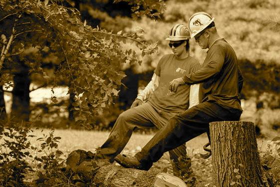 Preferred Arbor Care, LLC