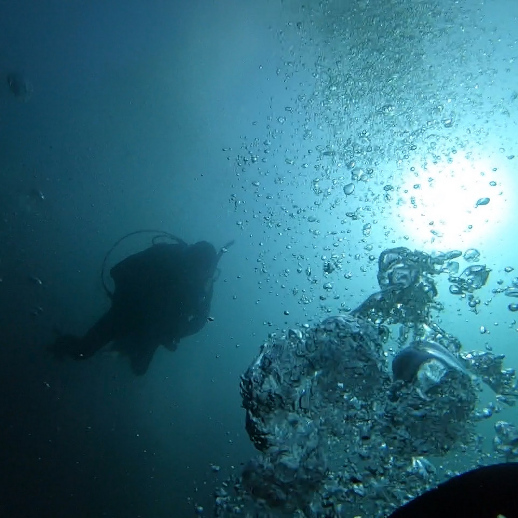 Blue Marble Divers Hagerstown