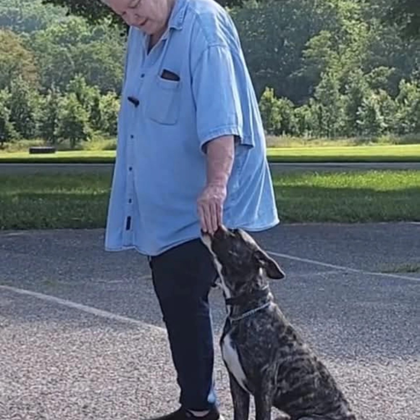 LionheartK9 Halethorpe