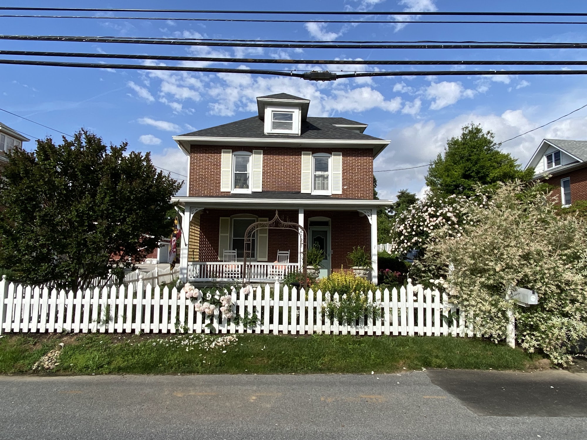 Summer Meadows Pet Spa Hampstead