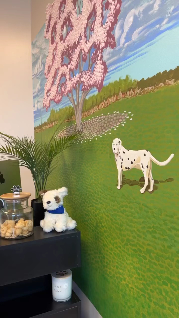 Domingo's Paws Hampstead