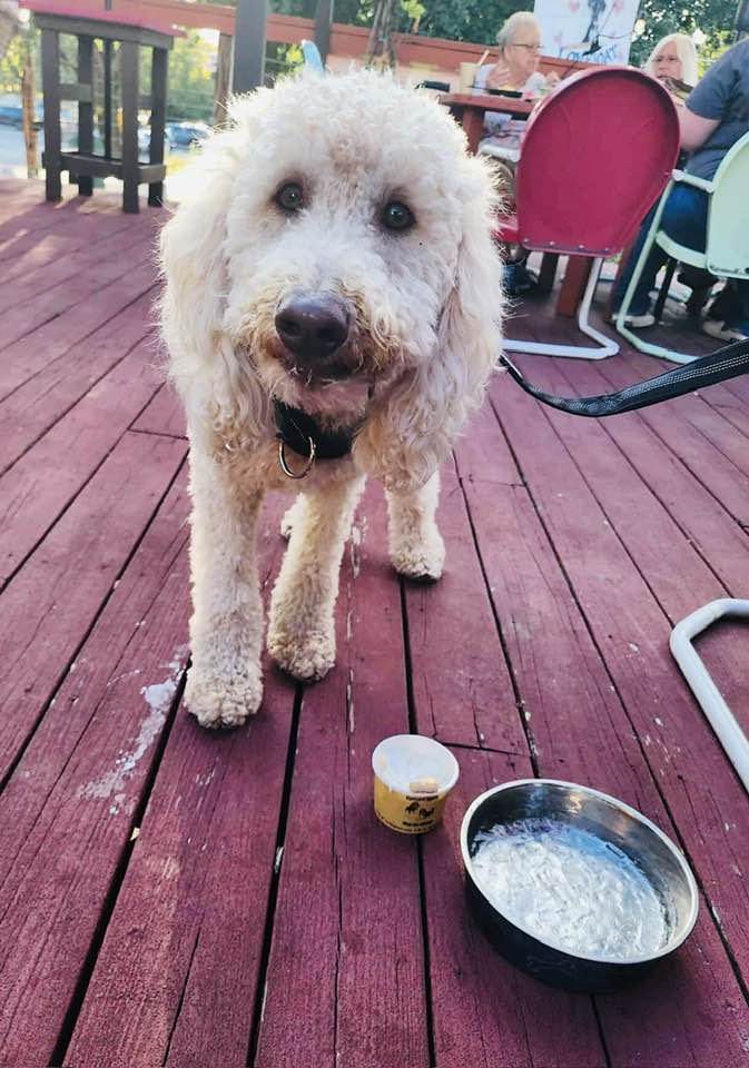 Buddylou's Eats Drinks & Antiques Hancock