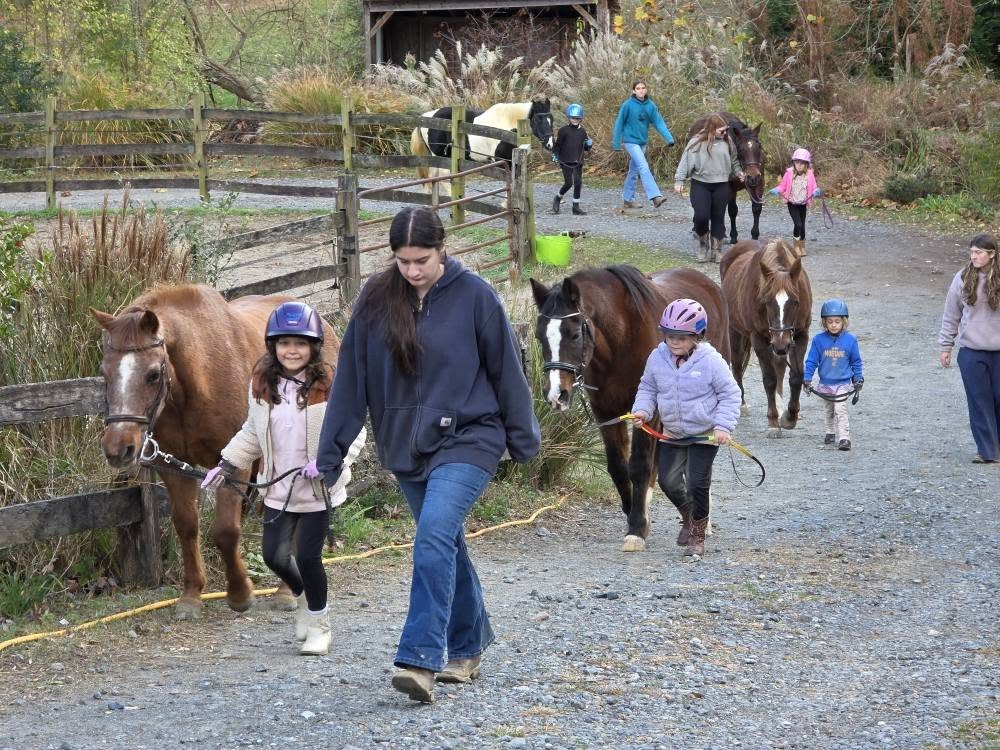 Canaan Farms Pet & Farm Care Huntingtown