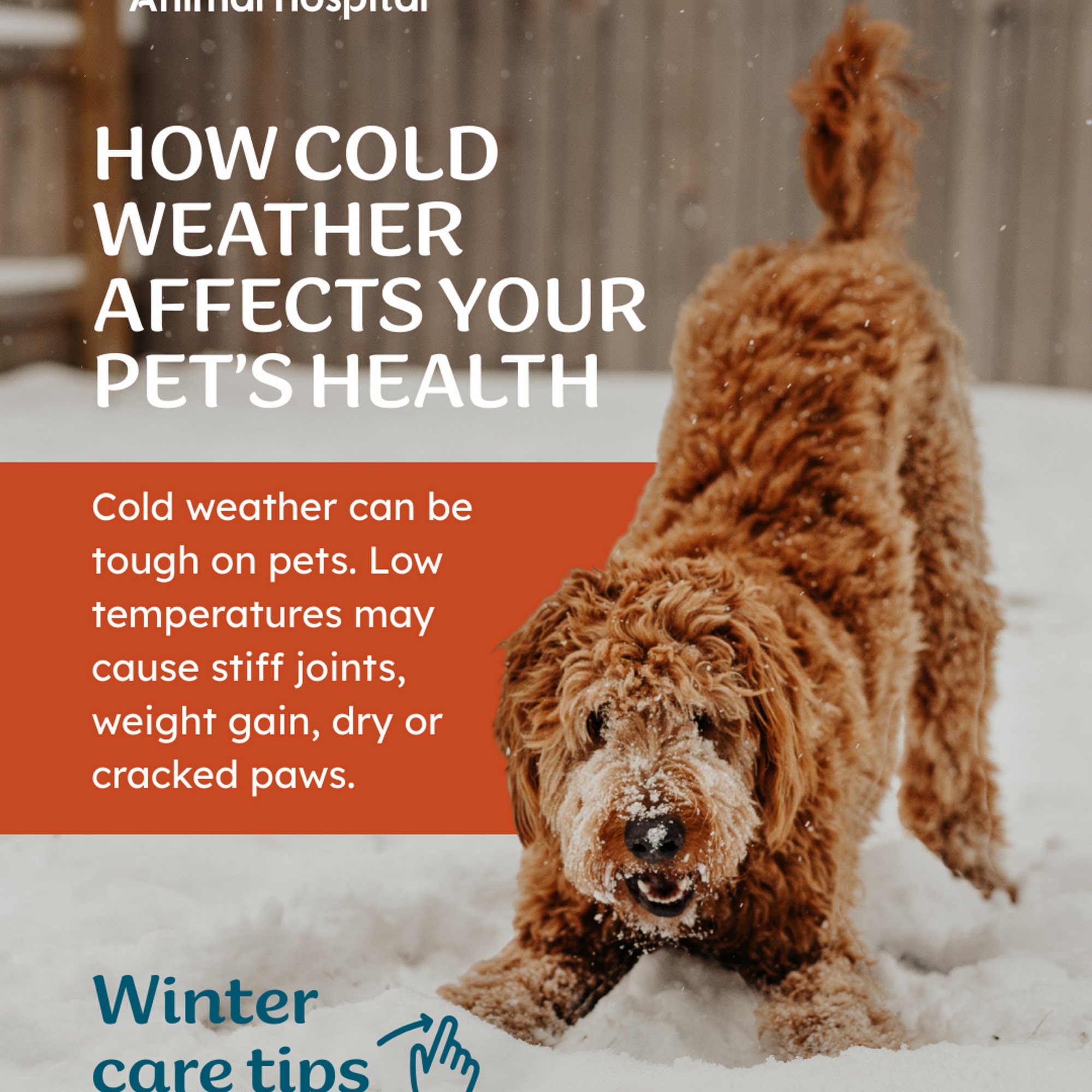 Prince George's Animal Hospital Hyattsville