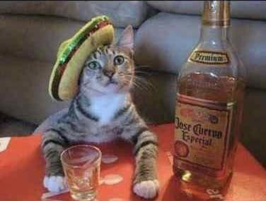 Brookside Inn Jefferson