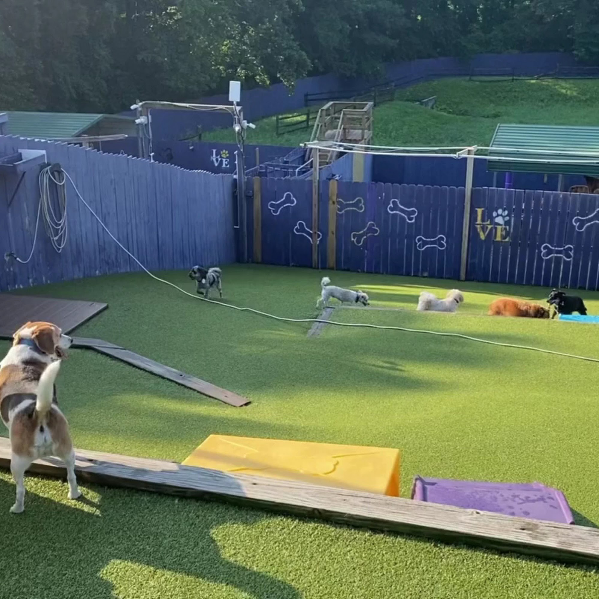 Best Friends Fur Ever Joppatowne