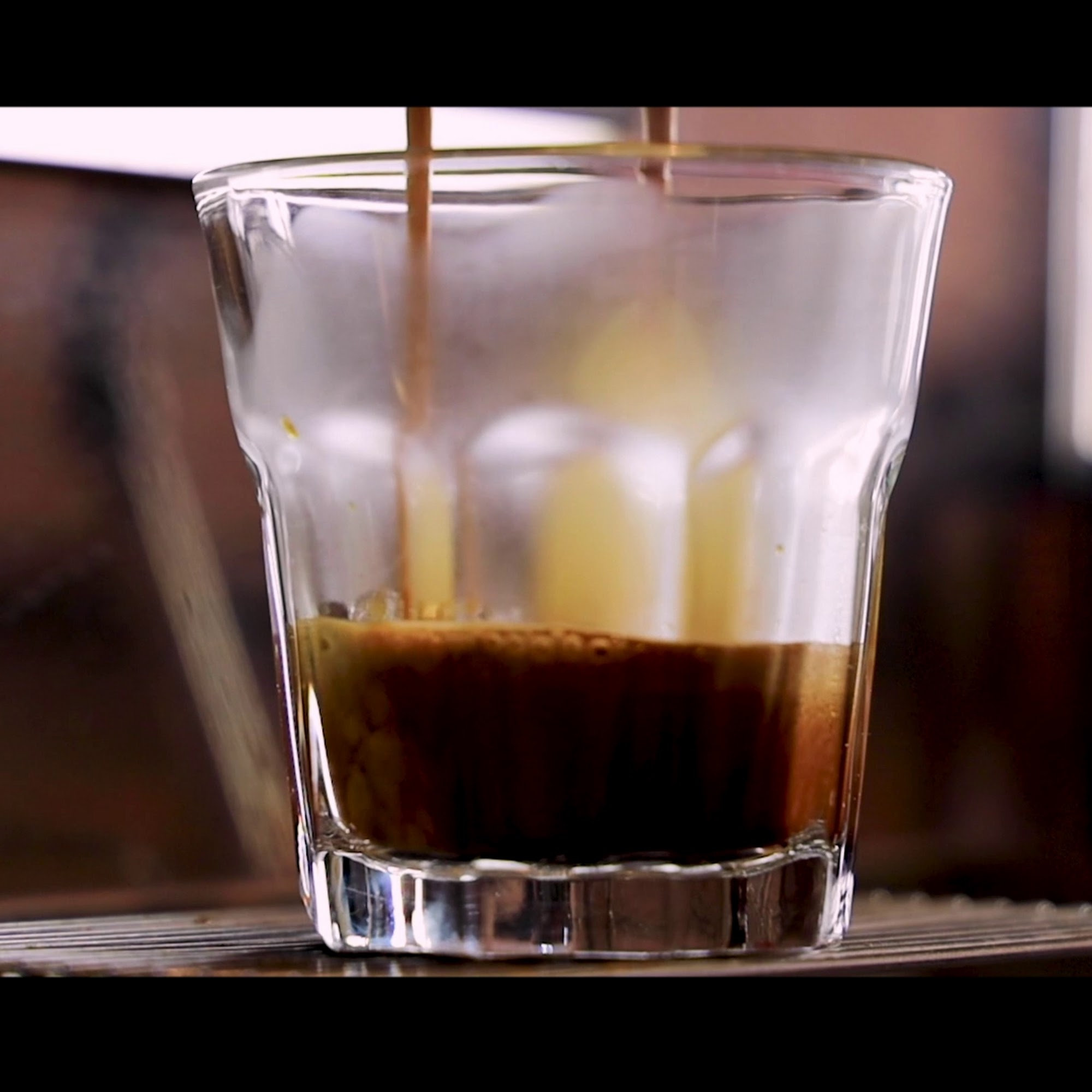 Java Nation Kensington