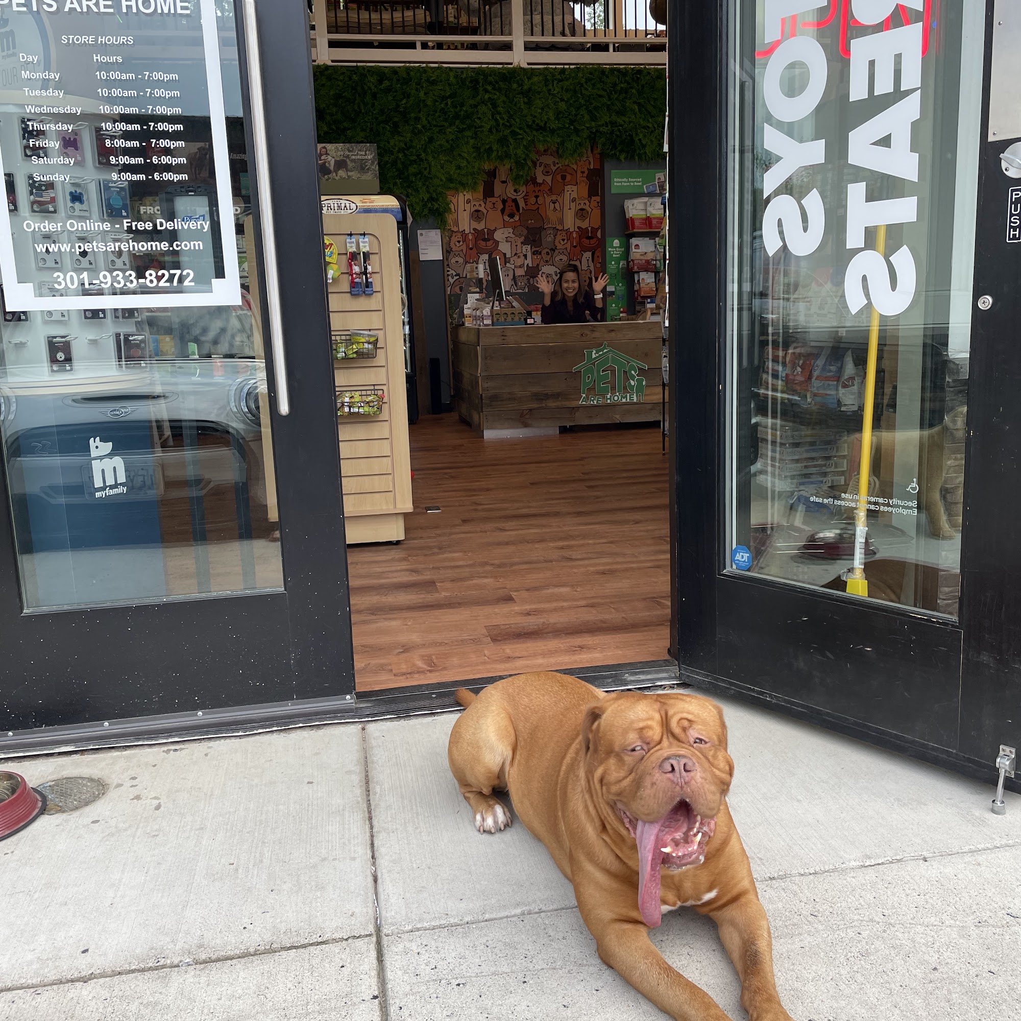 Pets Are Home Kensington