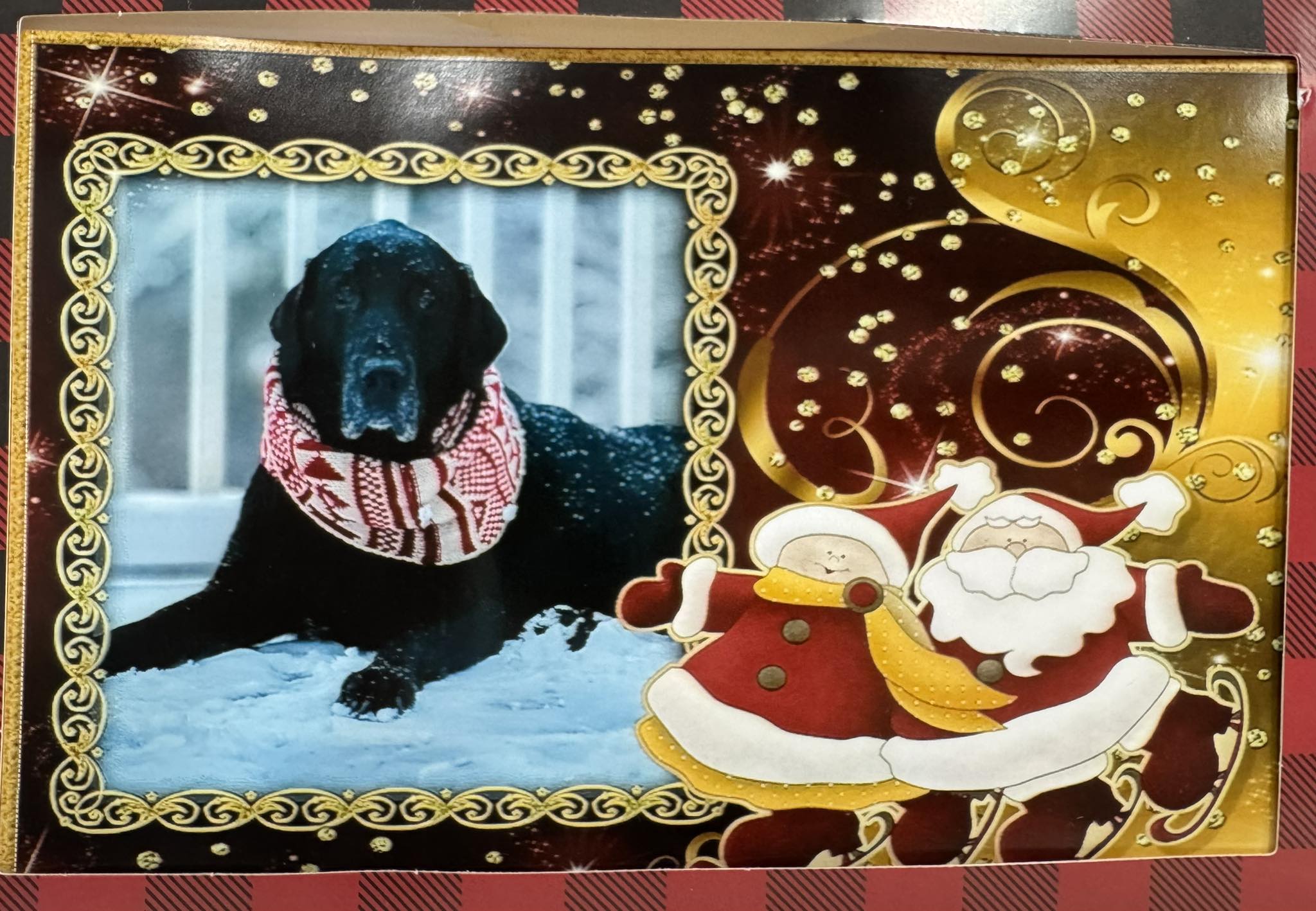 The Groom Room La Plata La Plata