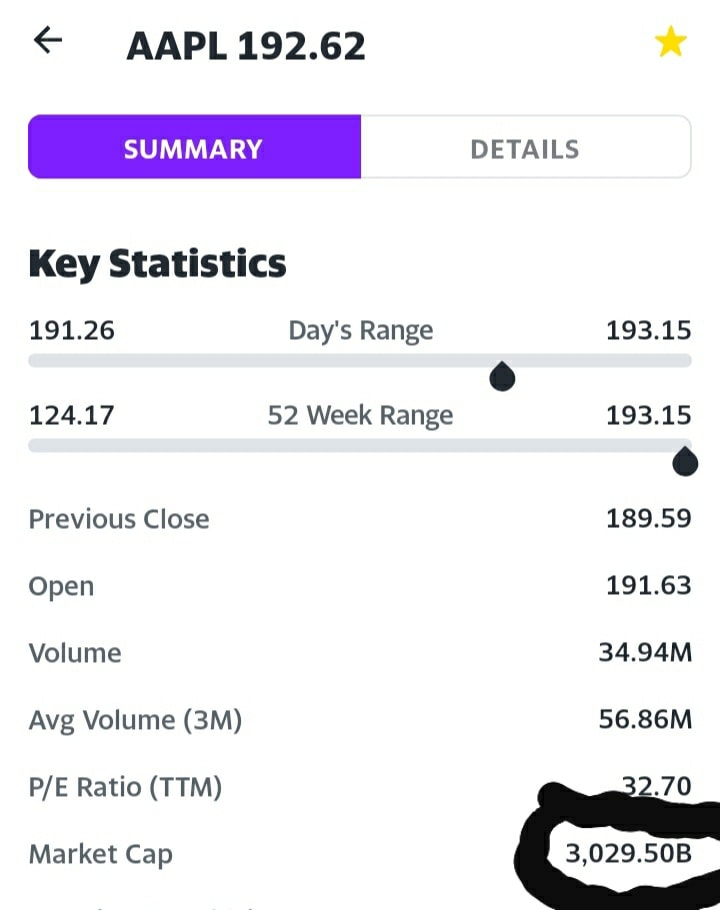 Anthony Financial IQ Rice