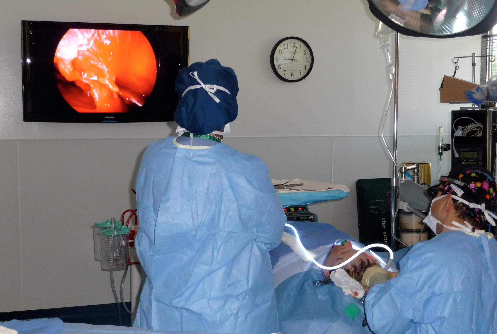 CosmeticSurg 1300 Bellona Ave unit c, Lutherville Maryland 21093
