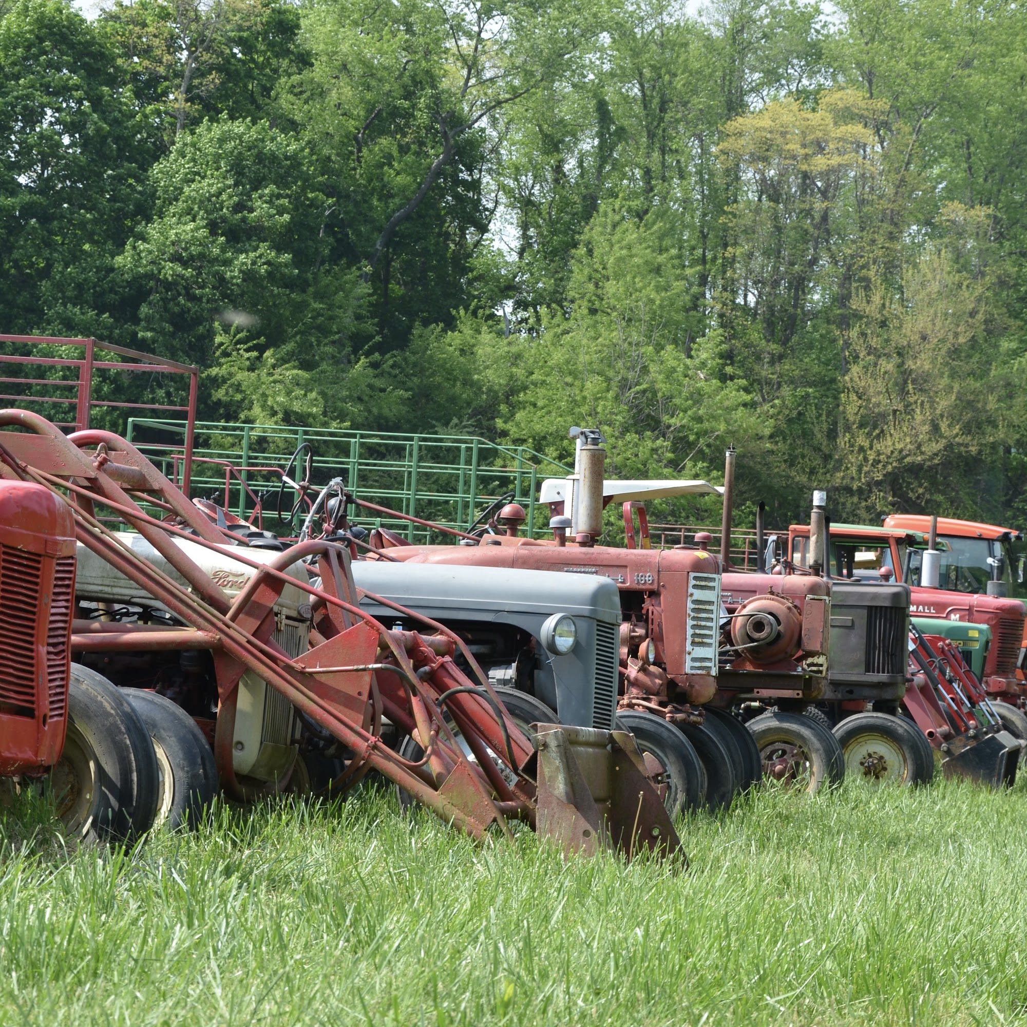 B C Green Auctions Manchester