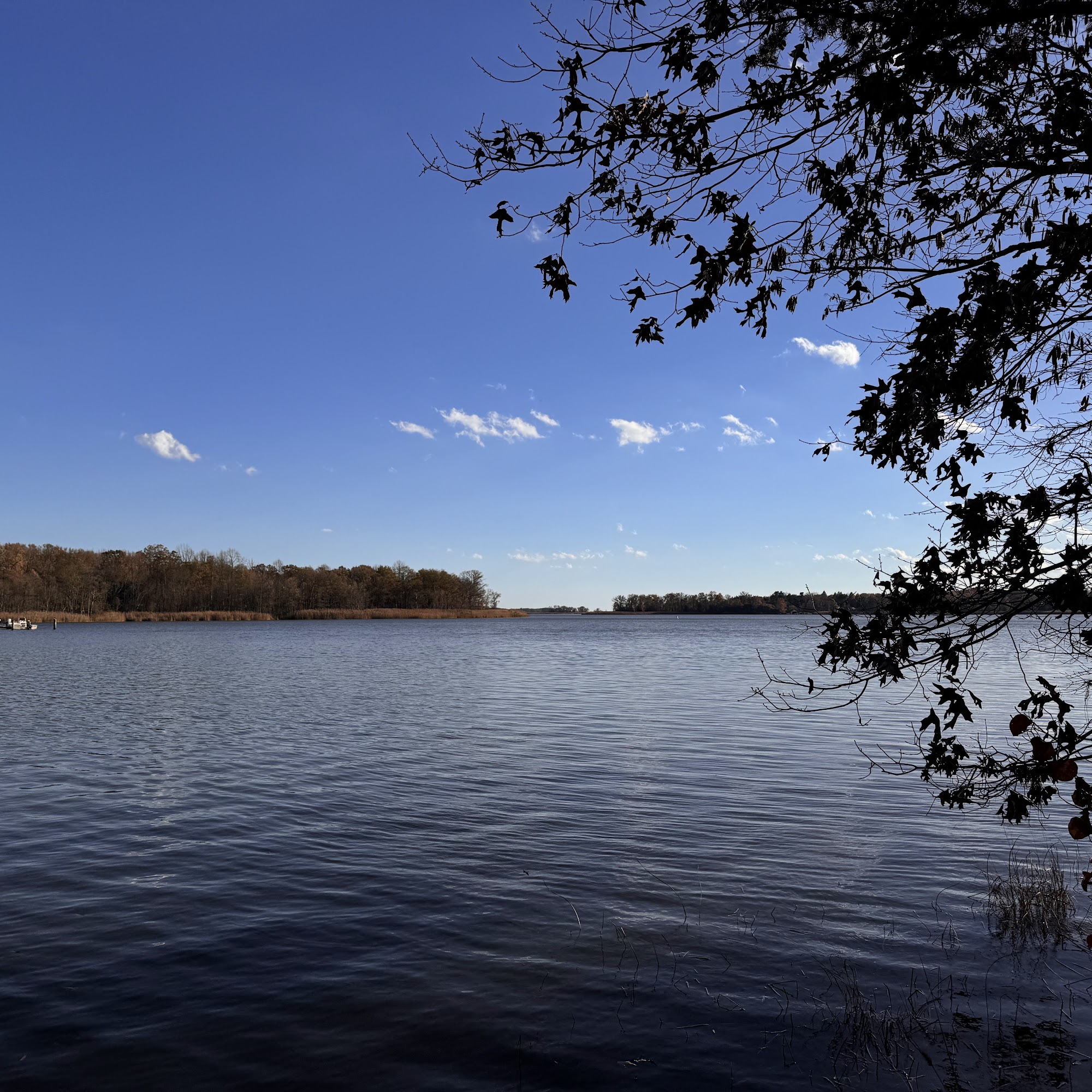 Dundee Creek Marina Middle River